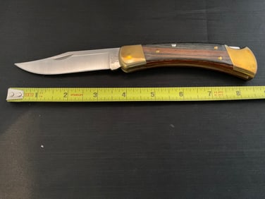 Buck Knife 110 Folding Hunter with Sheath