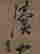 item-129204363=2