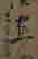 item-129204363=3