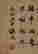 item-131213142=6