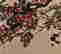 item-131213220=10