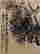 item-131213220=16