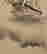 item-133359869=5