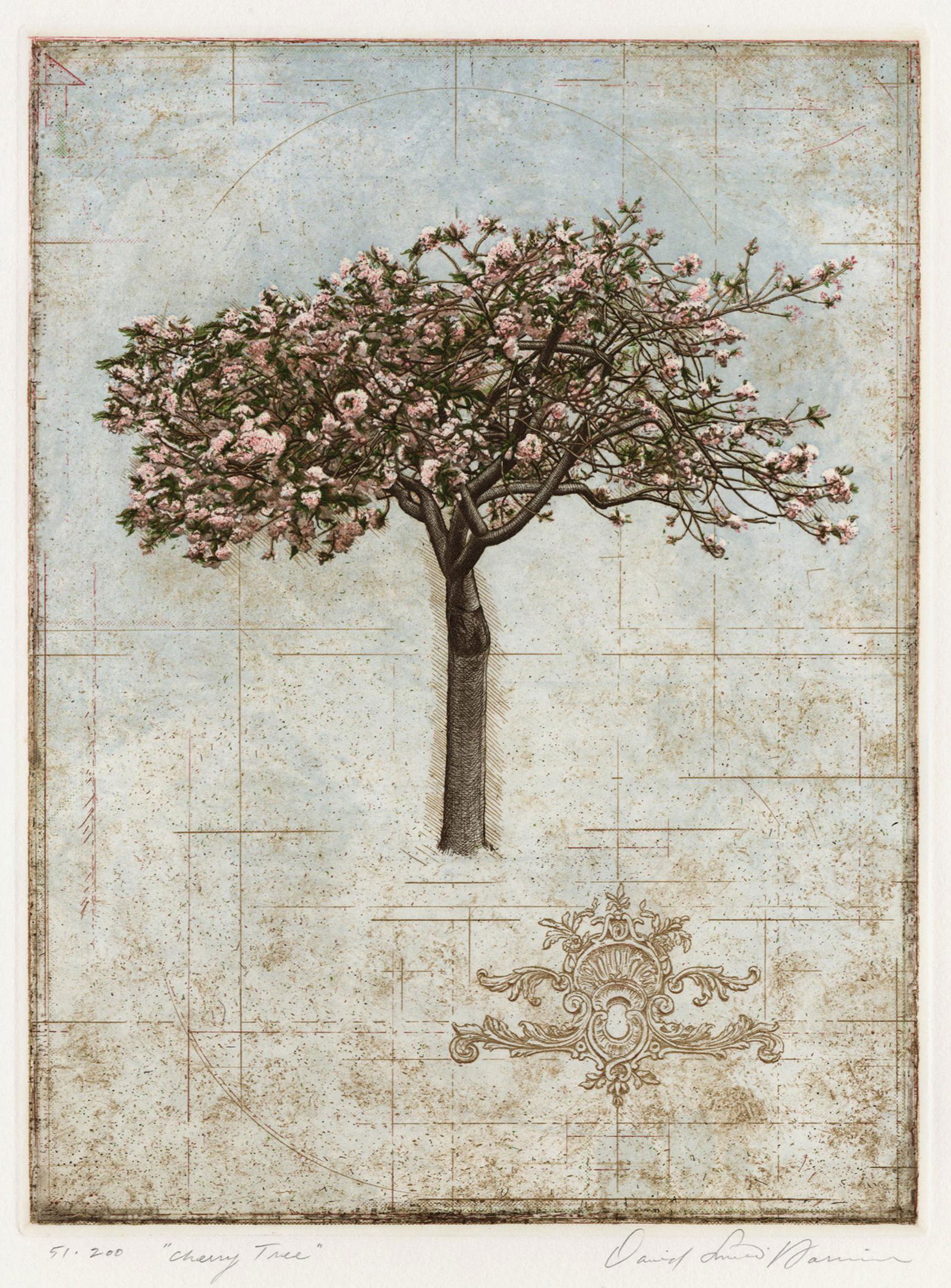 David SMITH-HARRISON: "Cherry Tree": David SMITH-HARRISON (Born 1959): "Cherry Tree". Color etching and aquatint on wove paper, 2004. Edition of 200. Signed, titled and numbered in pencil. Plate: 11 3/4 x 8 7/8 inches.