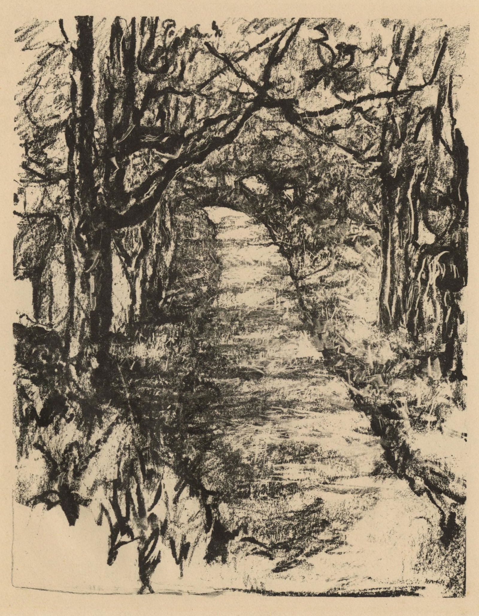 Norah HAMILTON: "Wooded Path" (1 of 2)