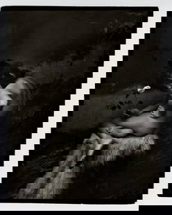 Jan SAUDEK: "The Rose".: Jan SAUDEK (Czech, born 1935): "The Rose". Silver-gelatin print, 1982-1985. Signed in ink, lower right corner. Sheet size: 6 1/8 x 4 7/8 inches.