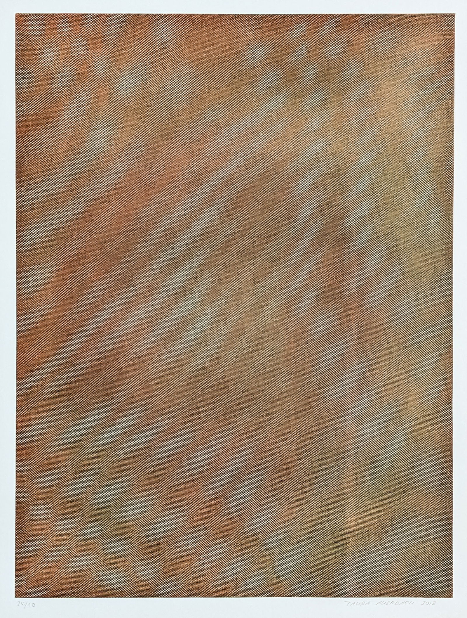 Tauba AUERBACH: "Mesh Moire II": Tauba AUERBACH (American, b. 1981): "Mesh Moire II". Color soft ground etching, from a set of six, 2012. Signed, dated, and numbered 26 in pencil. From the edition of 40. Published by Paulson Bott Pre