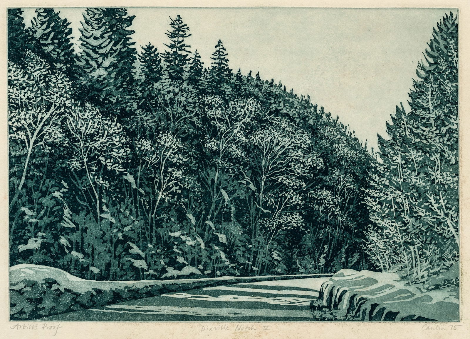 Cathleen CANTIN: "Dixville Notch, V" (1 of 2)