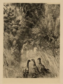 Felix BRACQUEMOND: "Canards Surpris".