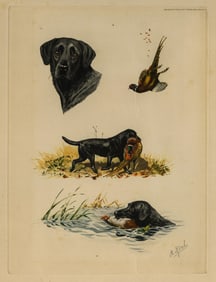 Boris RIAB: "Labrador Hunting Pheasant".
