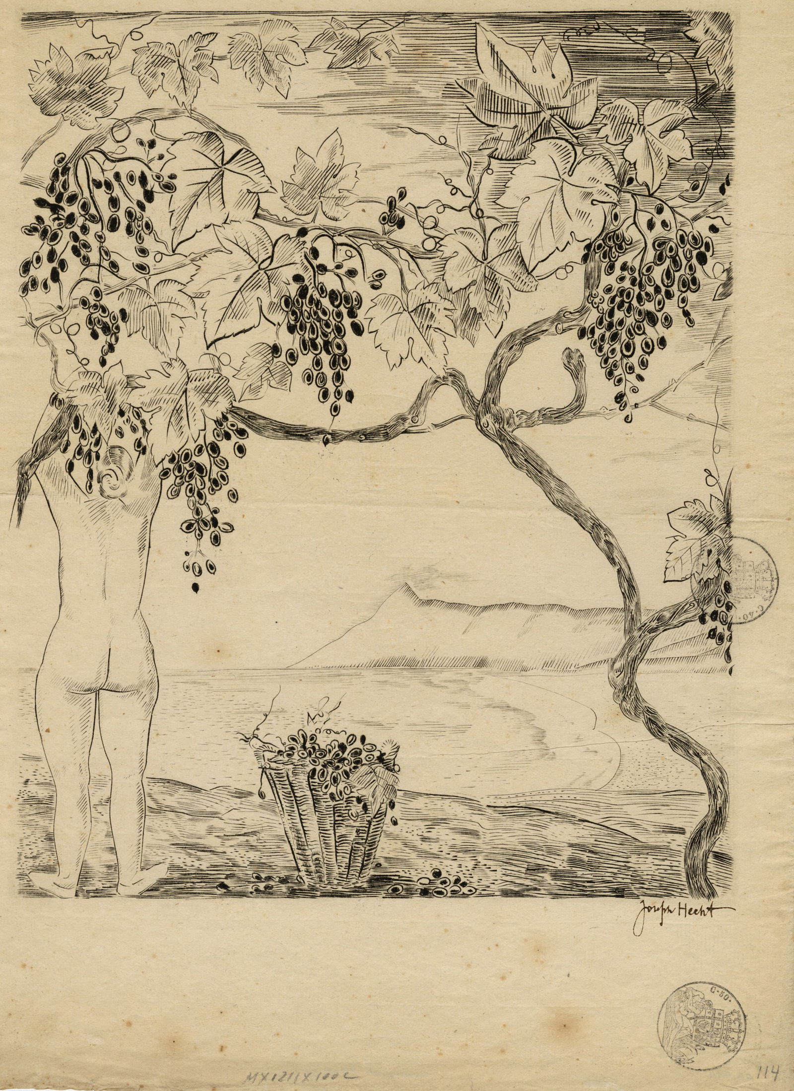 Joseph HECHT: "Vendange".: Joseph HECHT (Polish French, 1891-1951): "Vendange". Pure line engraving on 18th century laid ledger paper, with an unidentified stamp in the lower right corner, circa 1923-1925. Reference: Tonneau-Ry