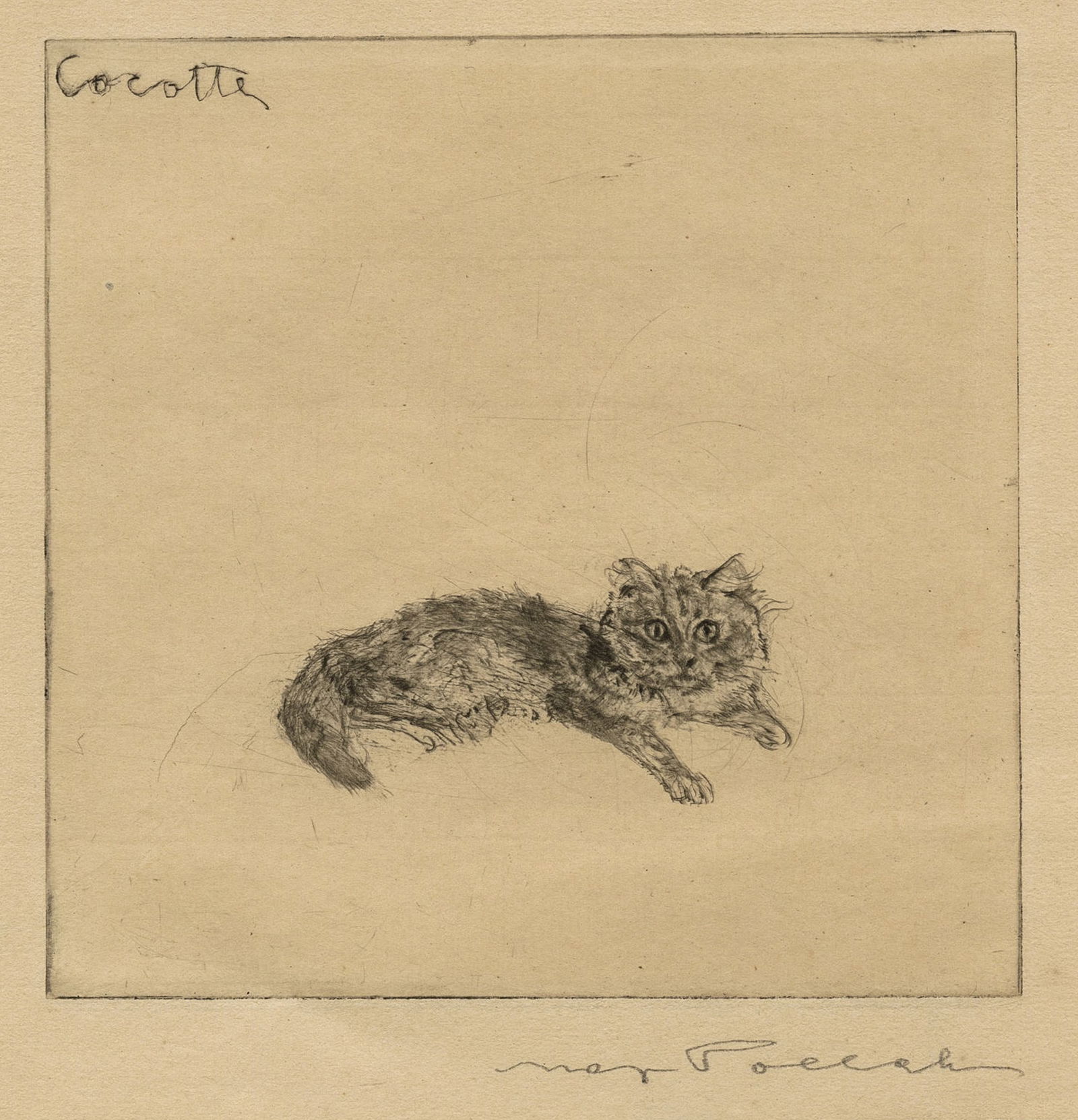 Max POLLAK: "Cocotte". (1 of 2)