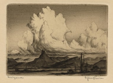 Two prints by Carl SCHULTHEISS: "Arizona".