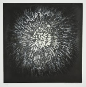 Ross BLECKNER: "(ON) Shadow".