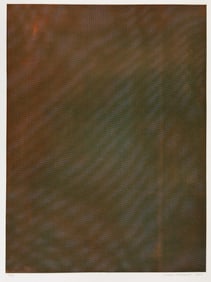 Tauba AUERBACH: "Mesh Moire II".