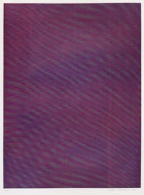 Tauba AUERBACH: "Mesh Moire IV".