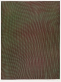 Tauba AUERBACH: "Mesh Moire VI".