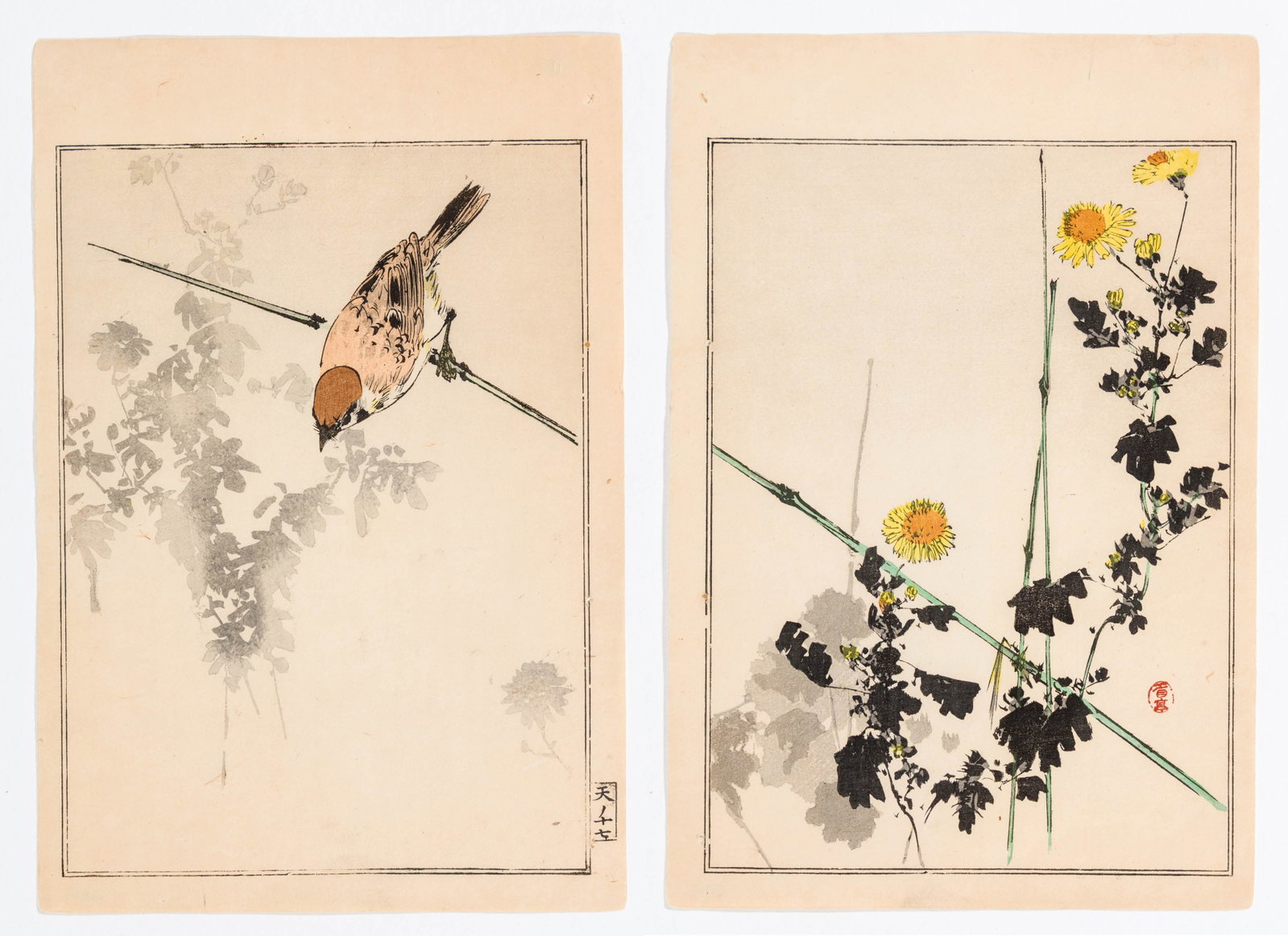 Seitei WATANABE/Shotei: "Bird and Yellow Flowers".: Seitei WATANABE/Shotei (Japanese, 1852-1918): "Bird and Yellow Flowers" from the series "Birds and Flower Painting Manual". A pair of woodblock prints on paper, 1891. Sizes given are for each. Image s