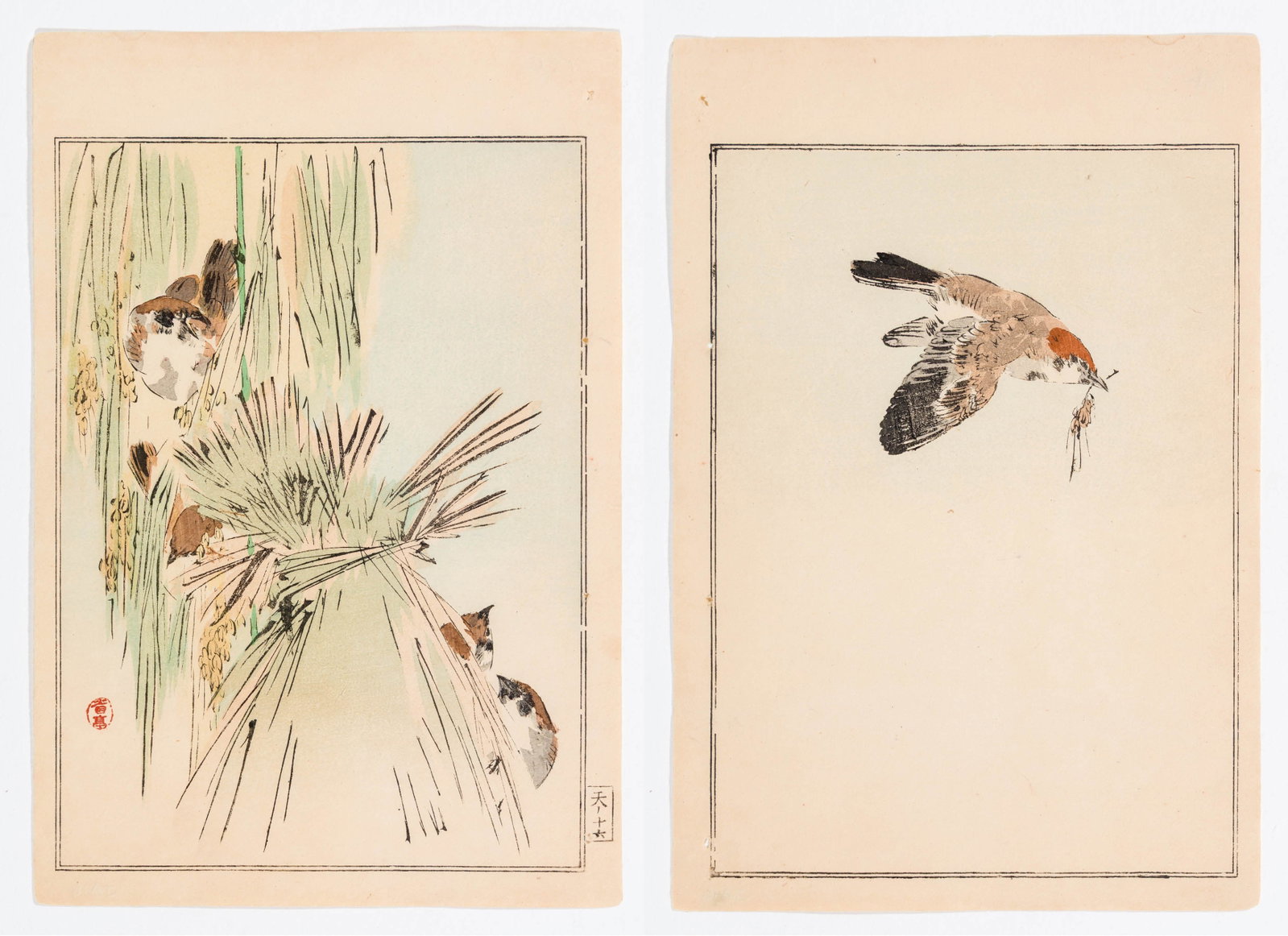Seitei WATANABE/Shotei: "Birds Nesting and Bird Flying".: Seitei WATANABE/Shotei (Japanese, 1852-1918): "Birds Nesting and Bird Flying" from the series "Birds and Flower Painting Manual". A pair of woodblock prints on paper, 1891. Sizes given are for each. I