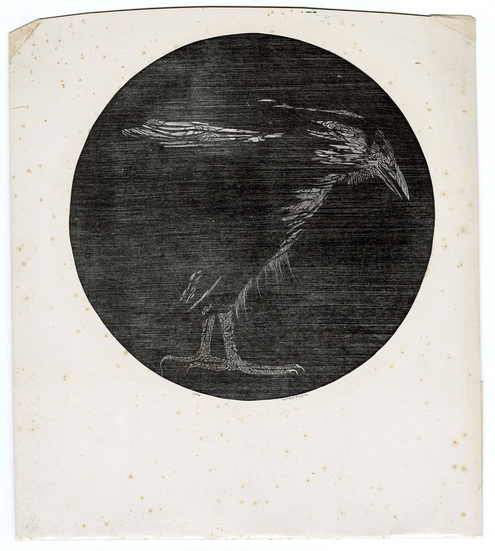 Leonard BASKIN: "Crow". - 3