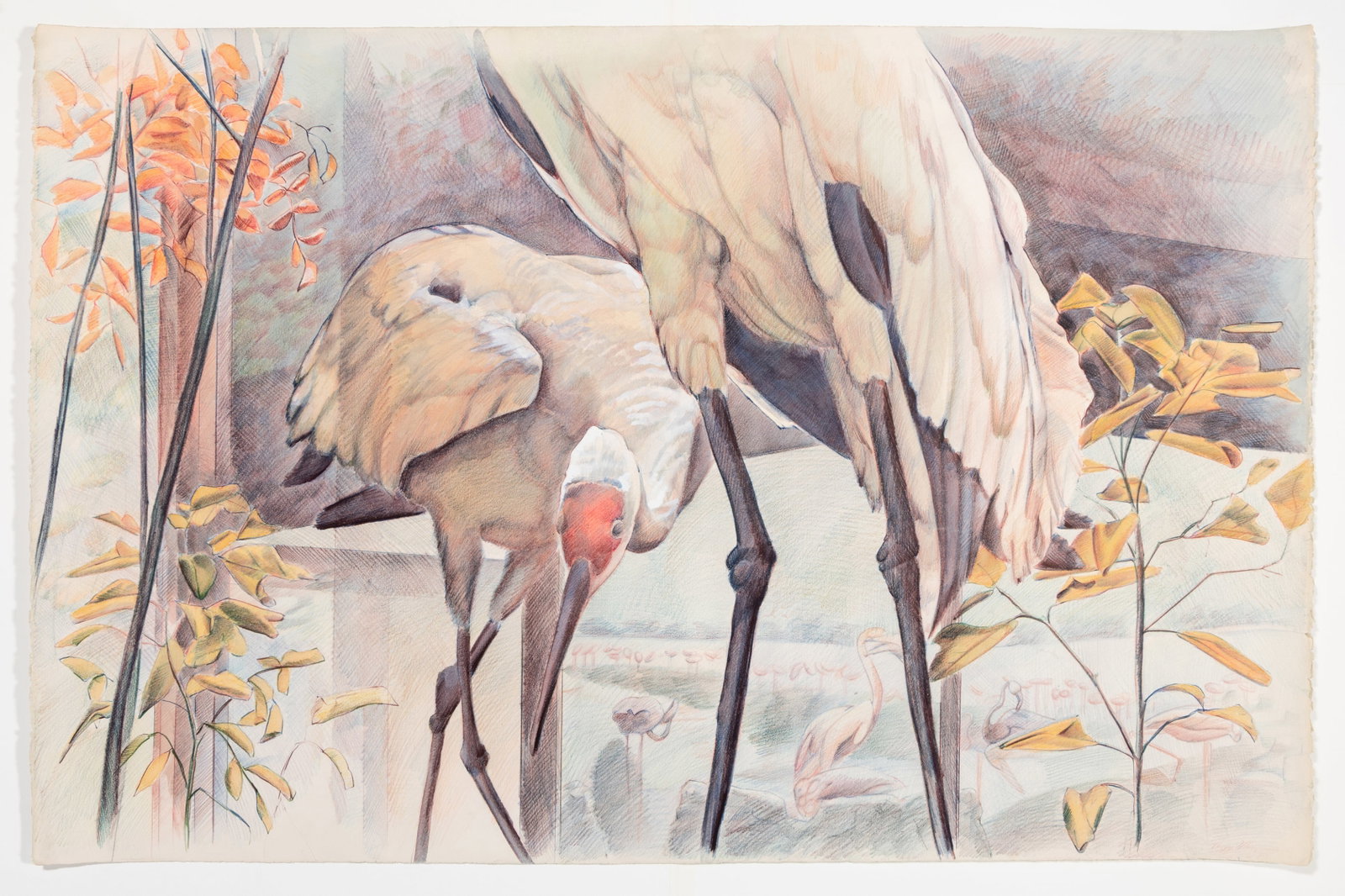 Peggy MacNAMARA: "Untitled (Cranes)". (1 of 1)