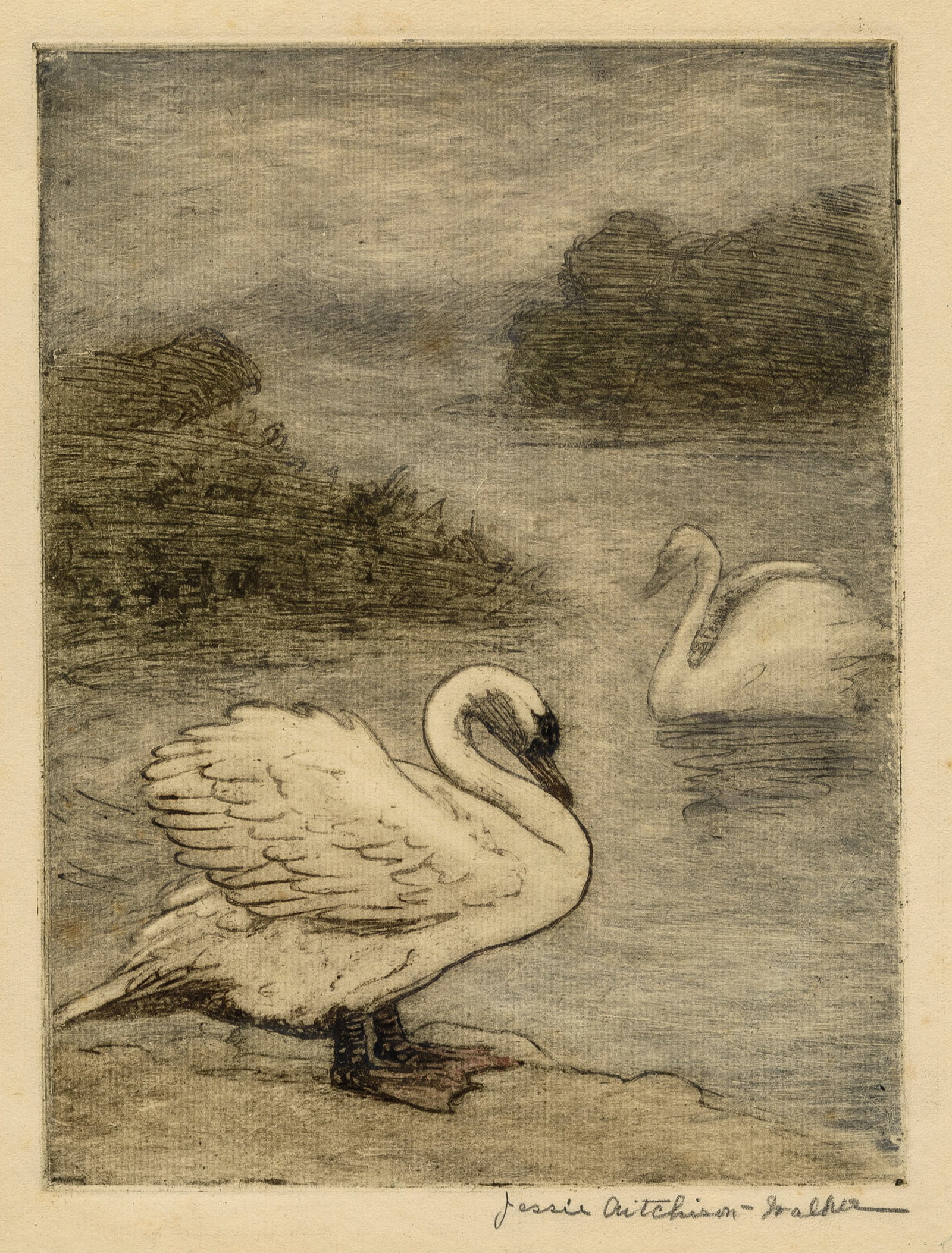 Jessie AITCHISON-WALKER: "Two Swans".: Jessie AITCHISON-WALKER (British, 1871-1938): "Two Swans". Soft-ground etching printed in colors by hand (a la poupee) on laid paper. Signed in pencil. Plate size: 9 1/4 x 6 7/8 inches. Sheet size: