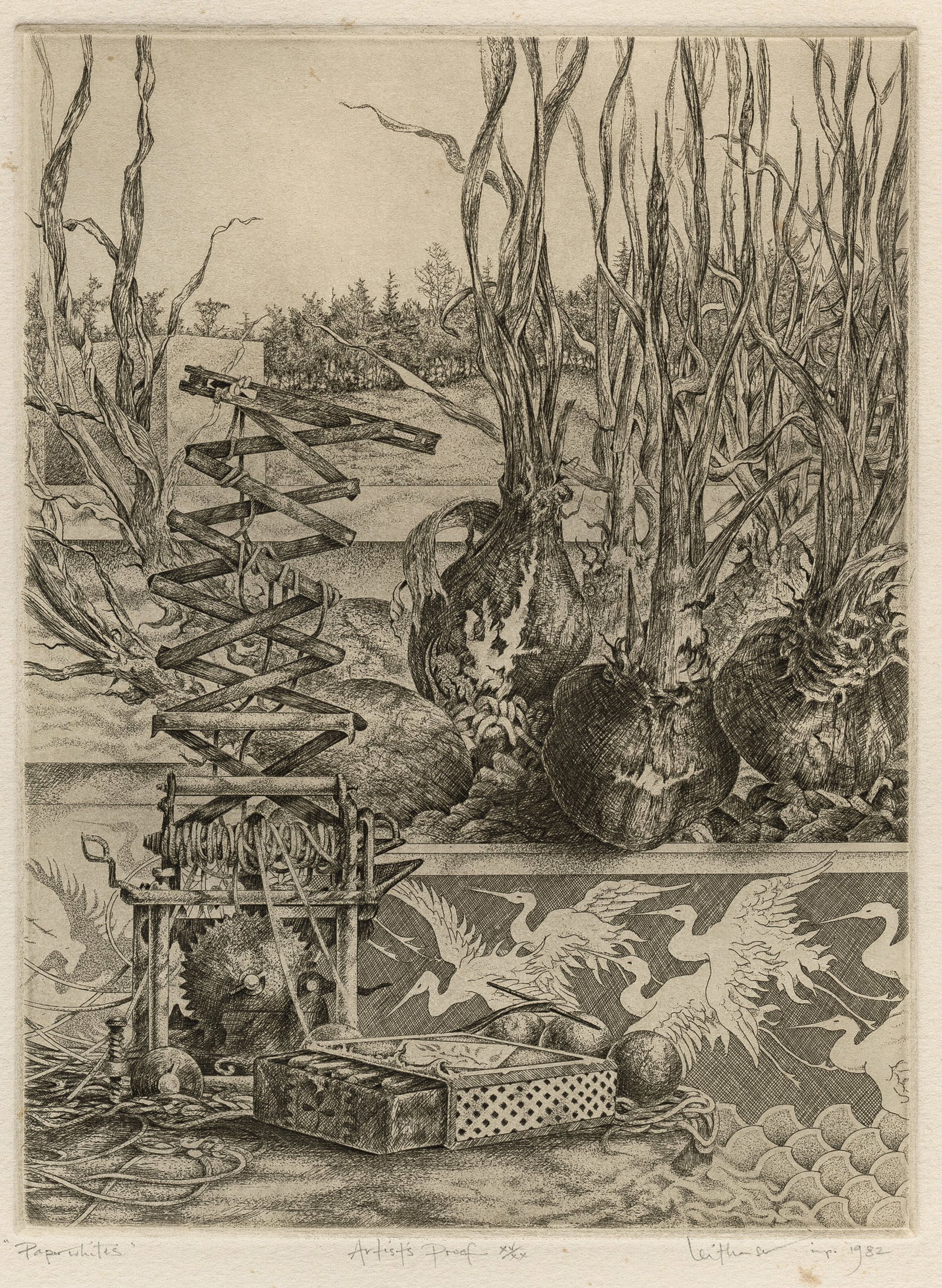Mark Alan LEITHAUSER: "Paperwhites".: Mark Alan LEITHAUSER (American, born 1950): "Paperwhites". Etching on wove paper, 1982. One of 20 artist's proofs, aside from the edition of 90. Signed, titled, dated, and numbered in Roman numerals