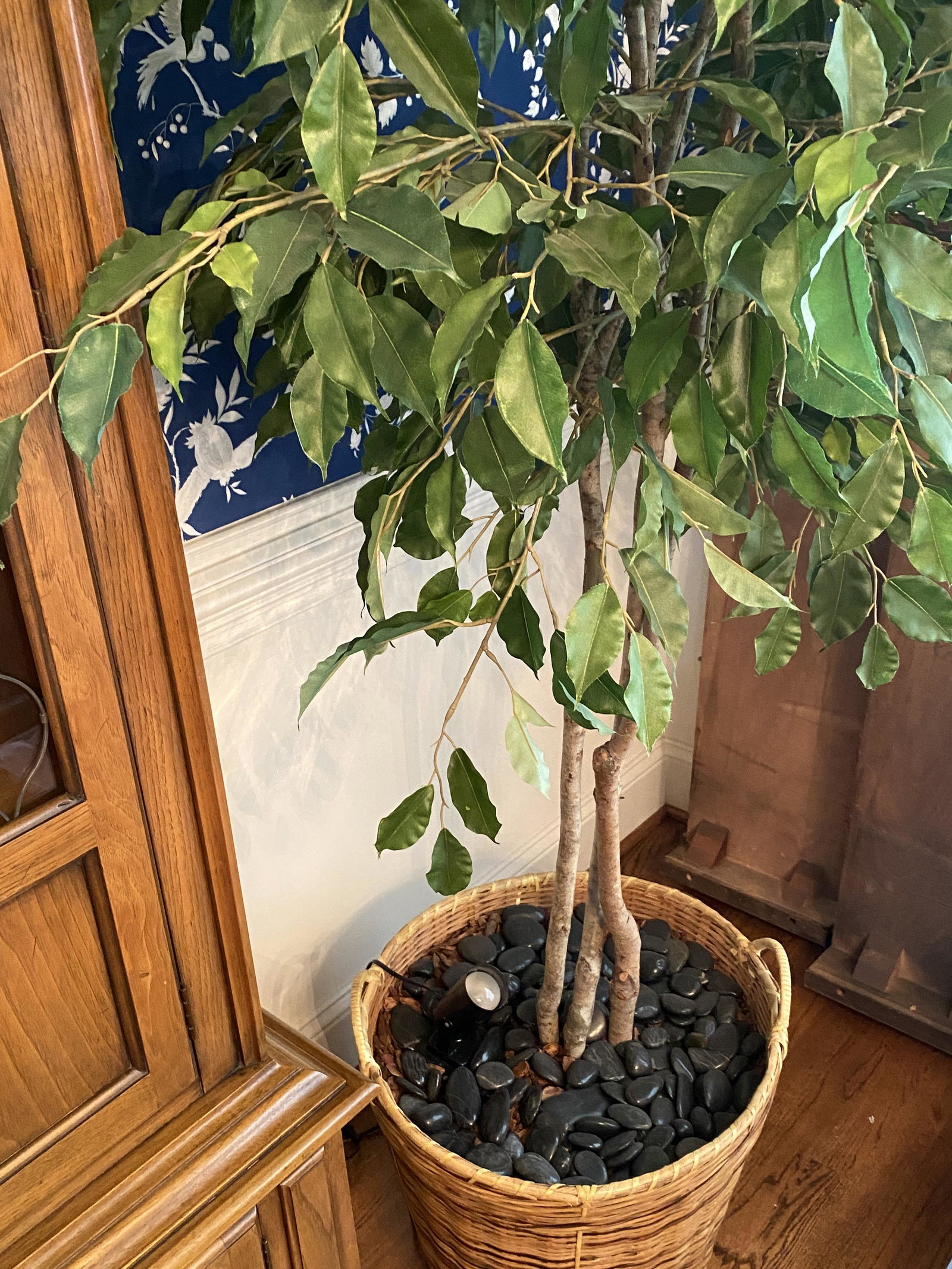 Silk Tree: Silk Tree in Wicket Basket with light. Measures: 84". Local pickup only. Local pickup only in Raleigh, NC on Thursday 2/28 between 9am-5pm. * Please do not bid if you cannot pickup the item during thi