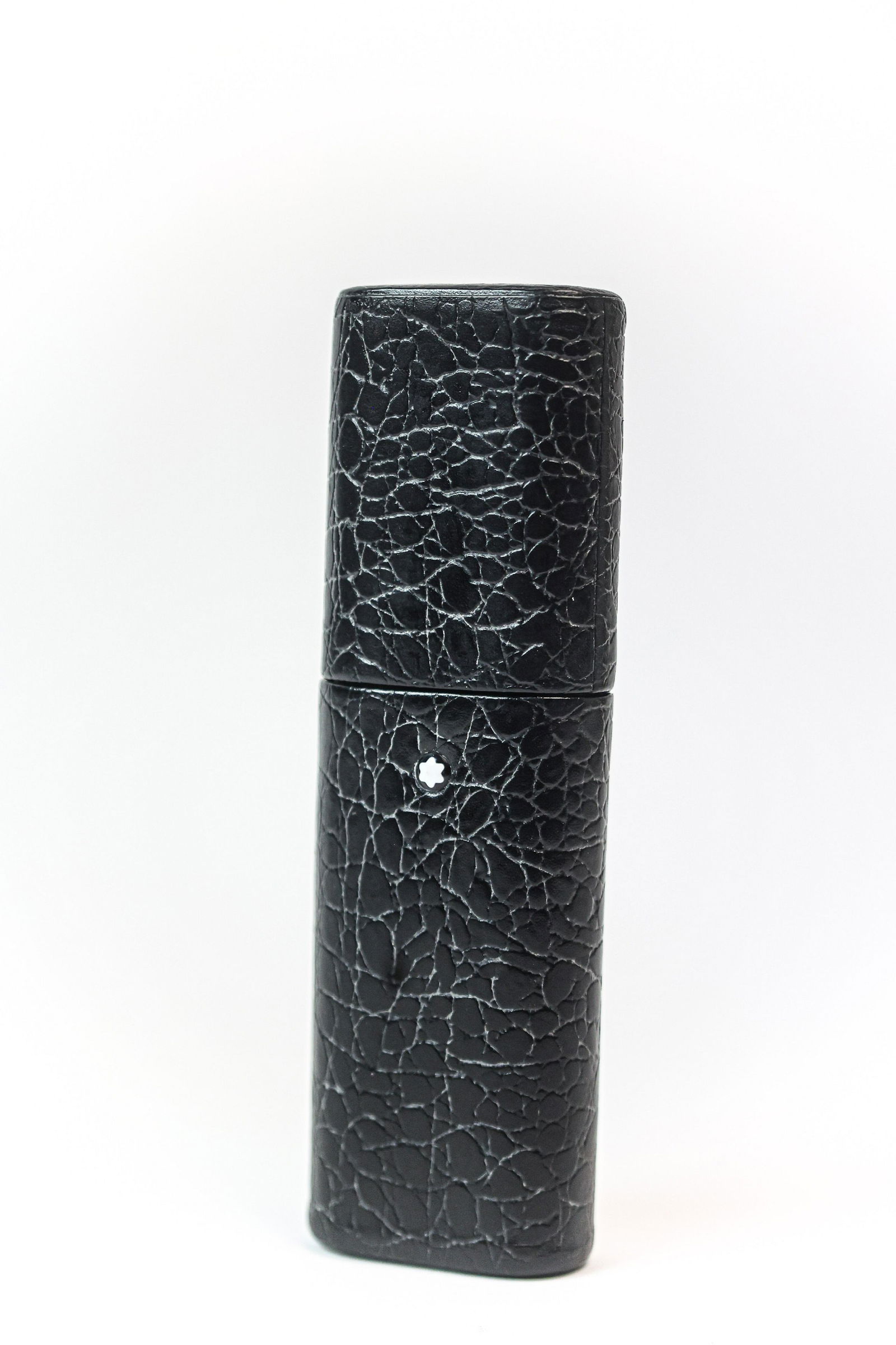 Mont Blanc Crocodile Fountain Pen Case (1 of 5)