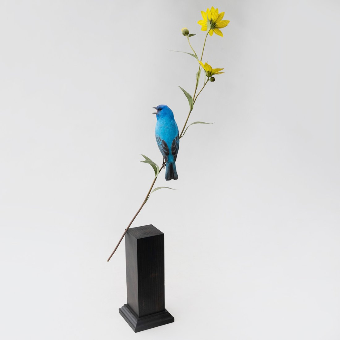 Carved Indigo Bunting Bird on Yellow Jerusalem Artichoke by Bruce Lepper (1 of 6)