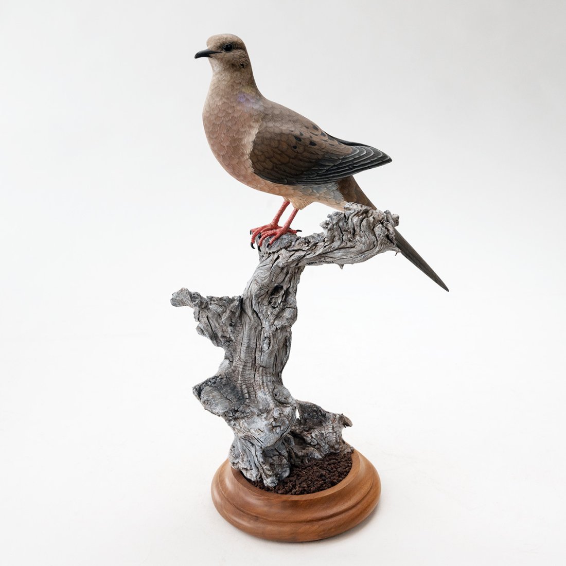 Carved on Dove Driftwood by Lewis & Holland (1 of 5)