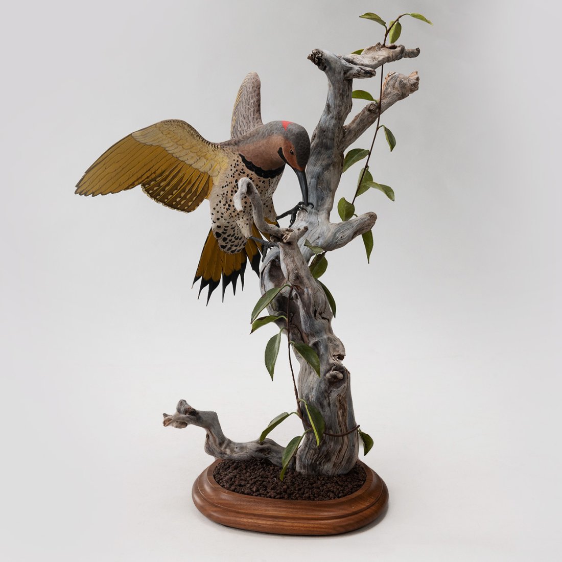 Carved Yellow shafted  Flicker with Vine on Driftwood by Lewis & Holland (1 of 5)
