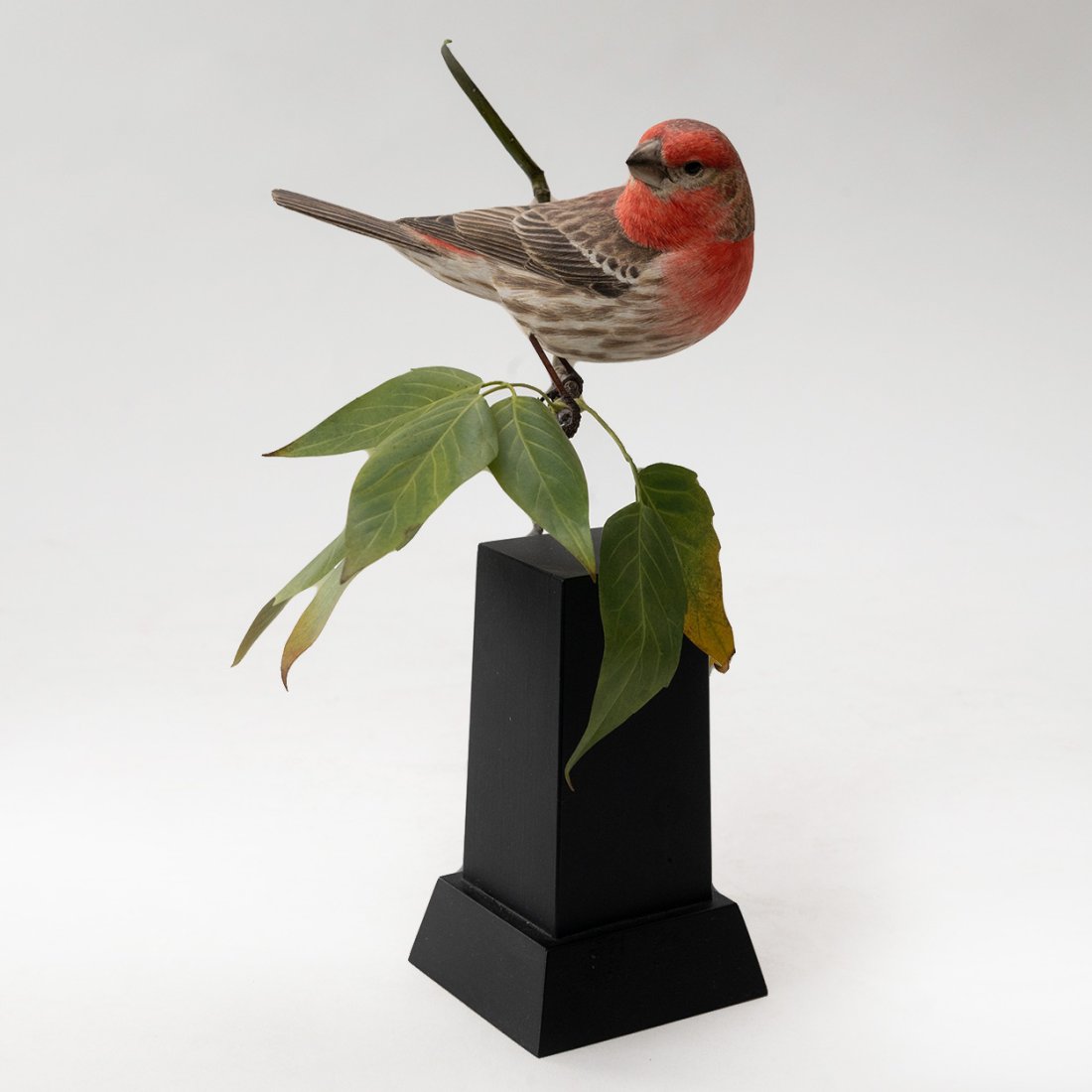 Hand carved House Finch by Bruce Lepper: An eye catching very collectable Hand carved House Finch by Bruce Lepper, Signed - 2000
