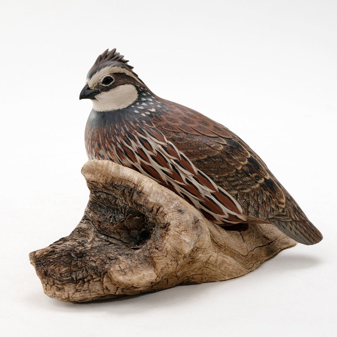 Carved Bobwhite Quail on Driftwood by Eddy Wozny (1 of 4)
