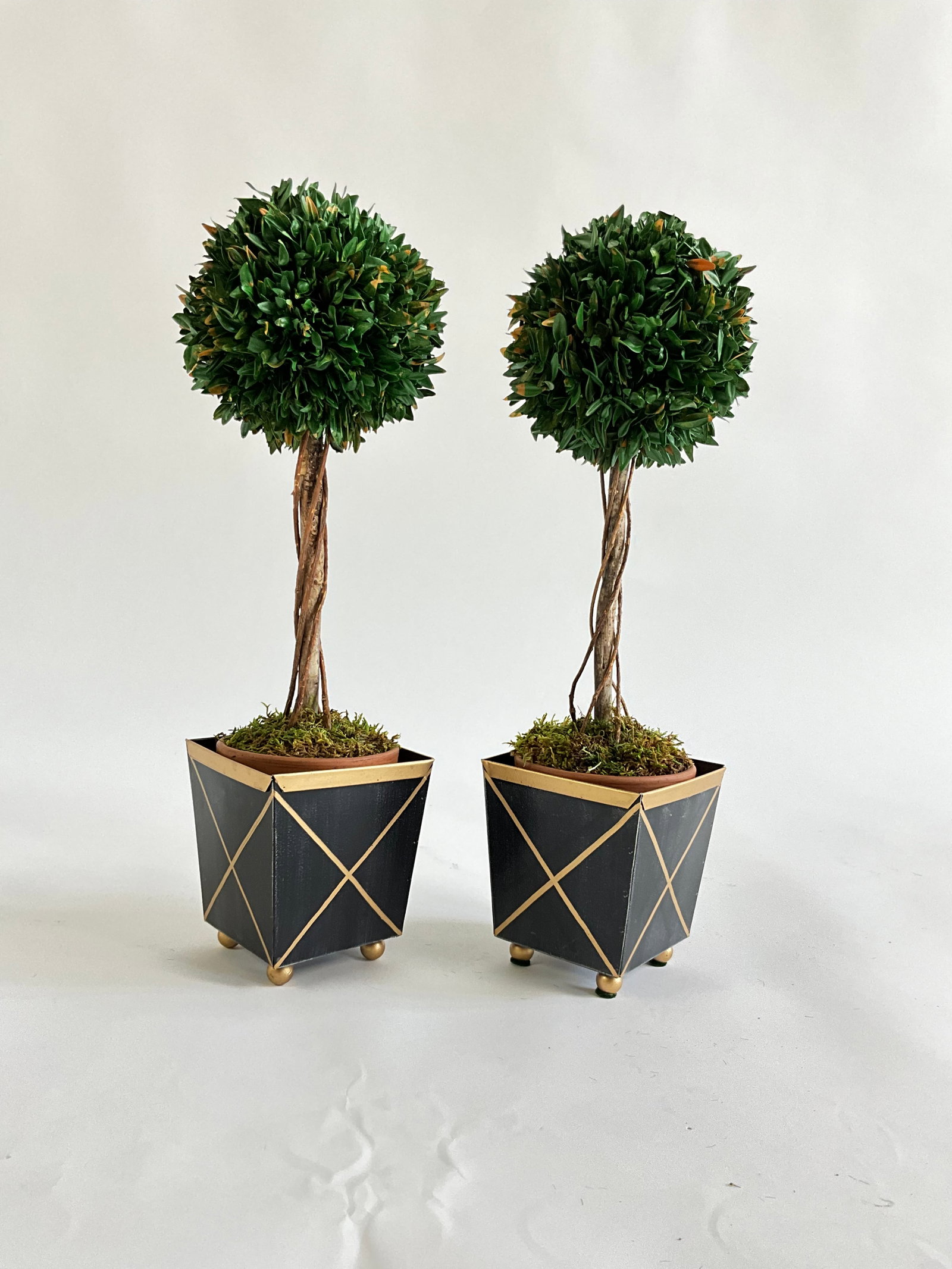 Pair of Faux Dried Topiary Trees by Bougainvillea (1 of 2)