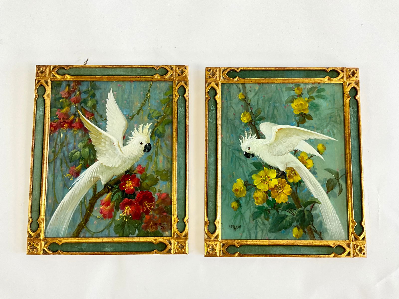 Pair of Original Oil on Board Cockatoo on Flowering Branch Paintings by Alfonso T. Toran (1896-1965) (1 of 6)