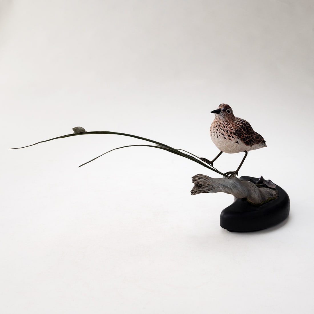 Carved Least Sandpiper with Decorative Grass and Snail by Joshua S. Brewer (1 of 5)