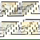Set of Four Horses Drawn From Nature By Carle Vernet
