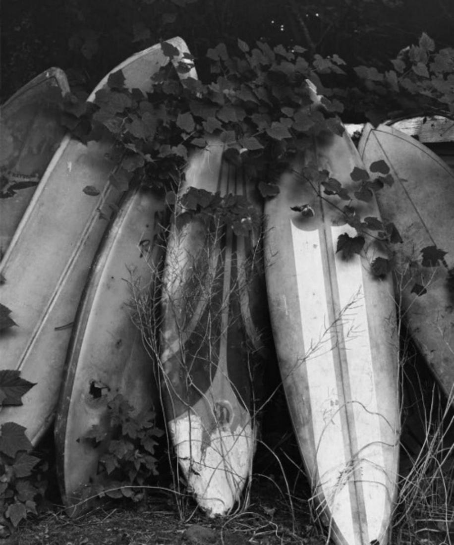 Michael Dweck, Old Boards in Tony's backyard, Fort Pond Bay, (1 of 1)