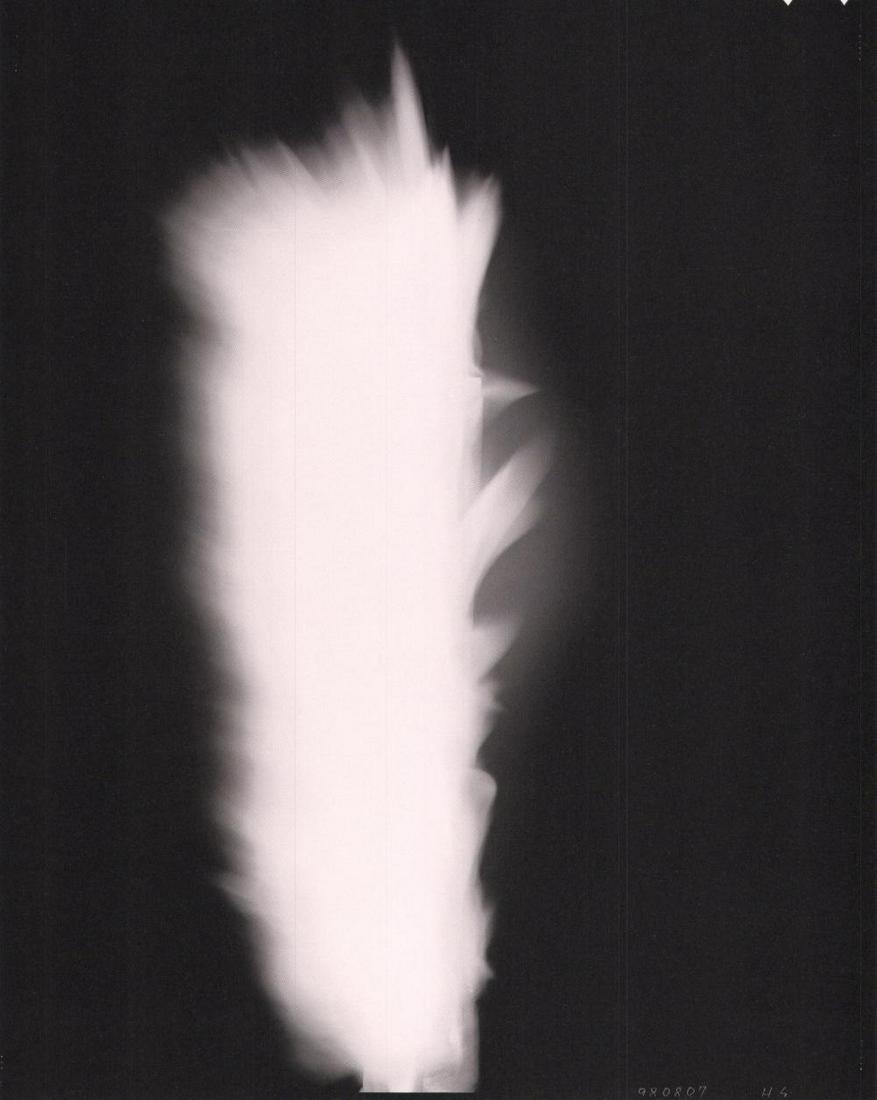HIROSHI SUGIMOTO, In Praise of Shadow, 1998: Photographer: Hiroshi Sugimoto is a contemporary Japanese photographer whose esoteric practice explores memory and time. Using the intrinsic quality of long exposure photography, the artist provides i