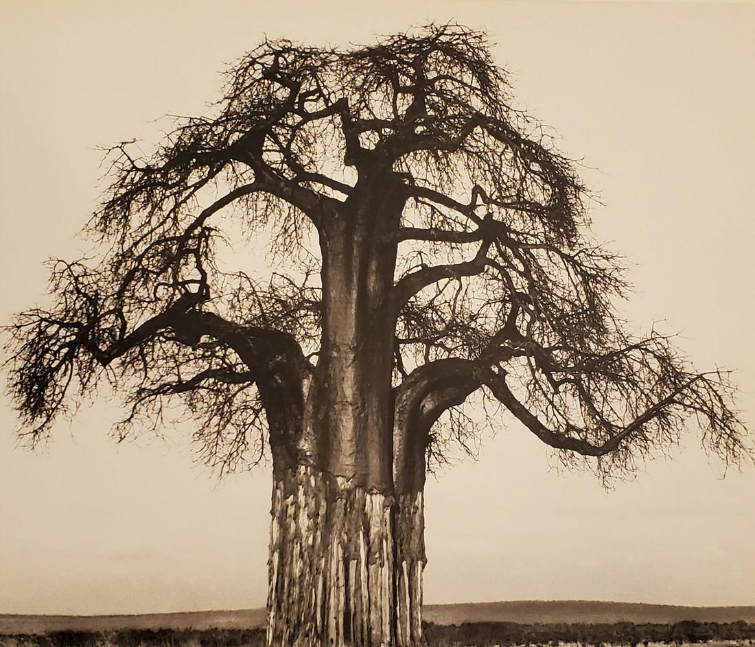 HERB RITTS, Africa - 30, 1993, Photo Engraving (1 of 1)