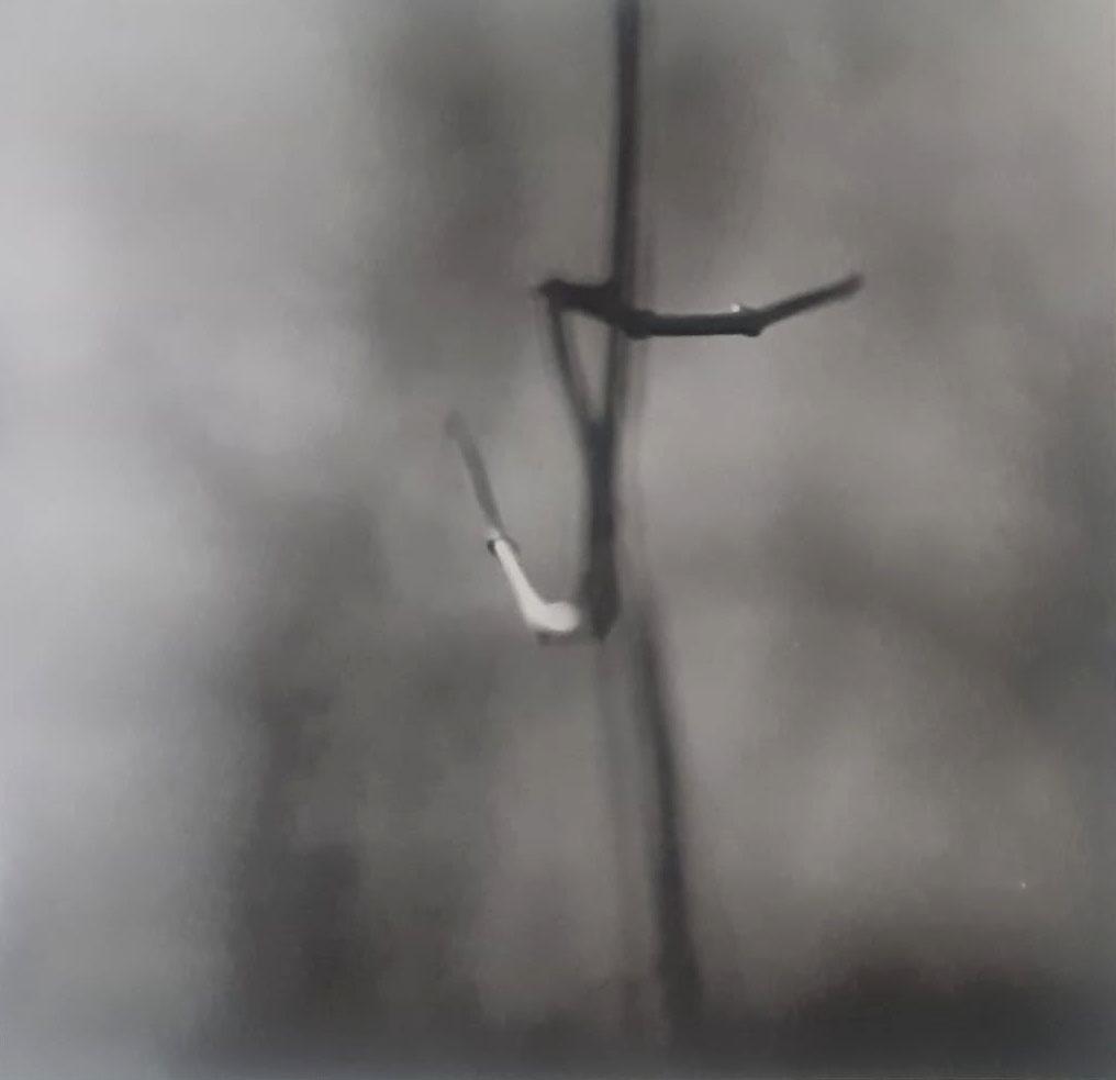 Ralph Eugene Meatyard, Untitled, (Zen Twig) 1961: Photographer: Ralph Eugene Meatyard (May 15, 1925 – May 7, 1972) was an American photographer from Normal, Illinois, U.S. Meatyard purchased his first camera in 1950 to photograph his newborn first