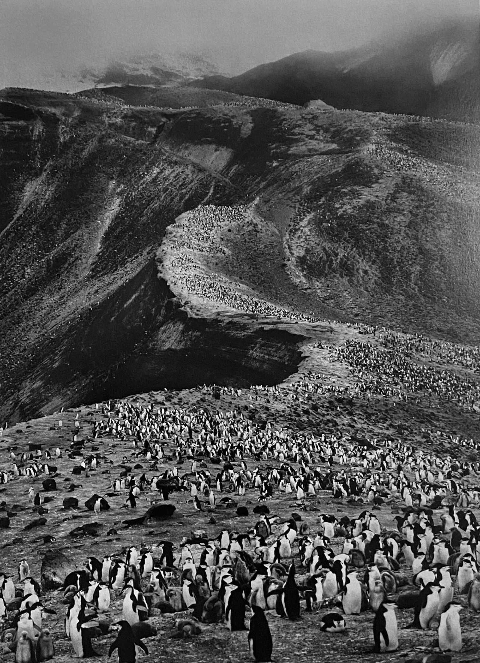 Sebastiao Salgado, Untitled-8: Photographer: Sebastiao Ribeiro Salgado Junior is a Brazilian social documentary photographer and photojournalist. He has traveled in over 120 countries for his photographic projects. Most of these ha