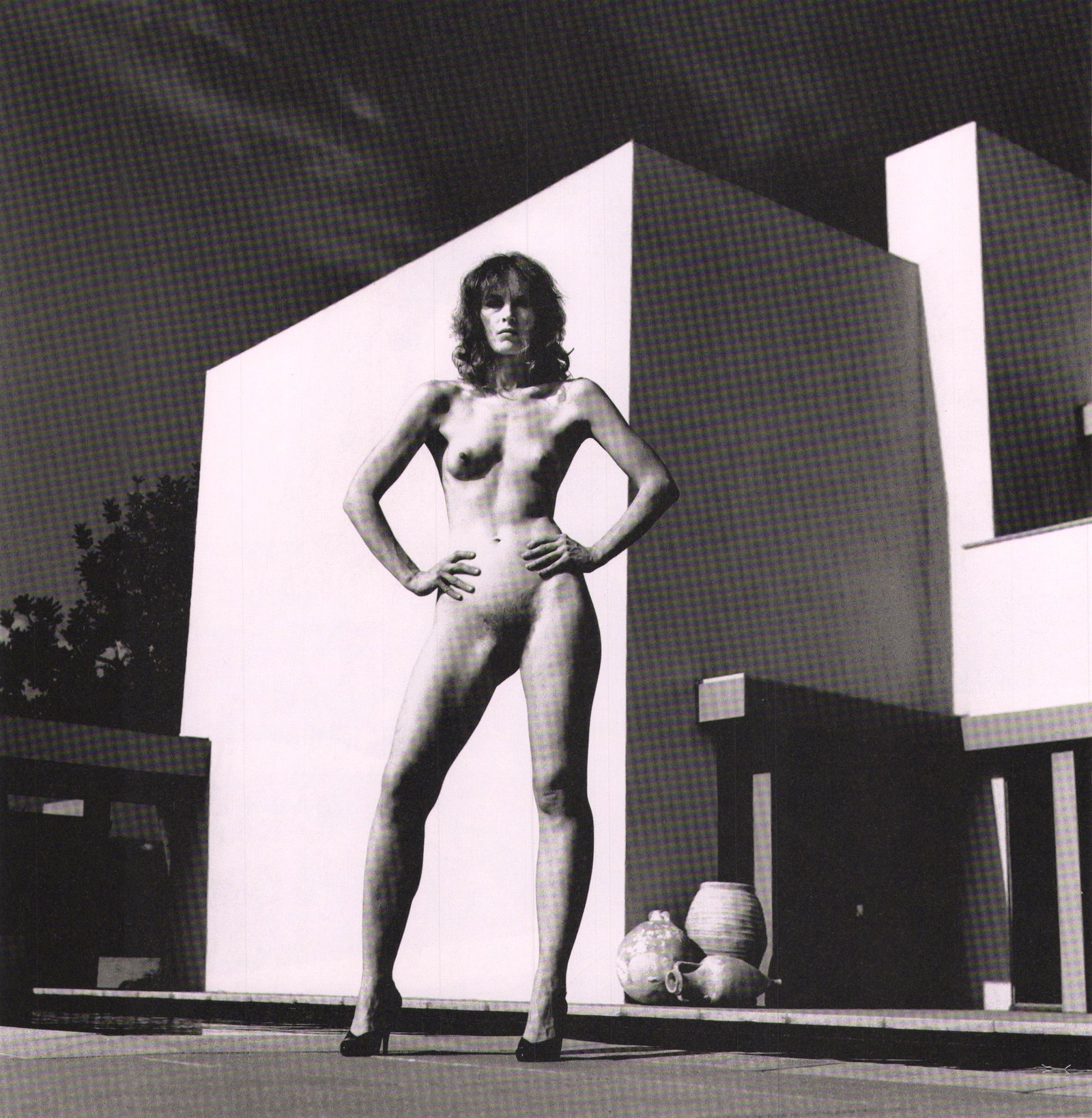 Helmut Newton, BigNudes,: Photographer: Helmut Newton (Germany, 1920 - 2004) - best known for his erotically charged highly stylized images, Helmut Newton was one of the most influential fashion photographers of all time. Titl