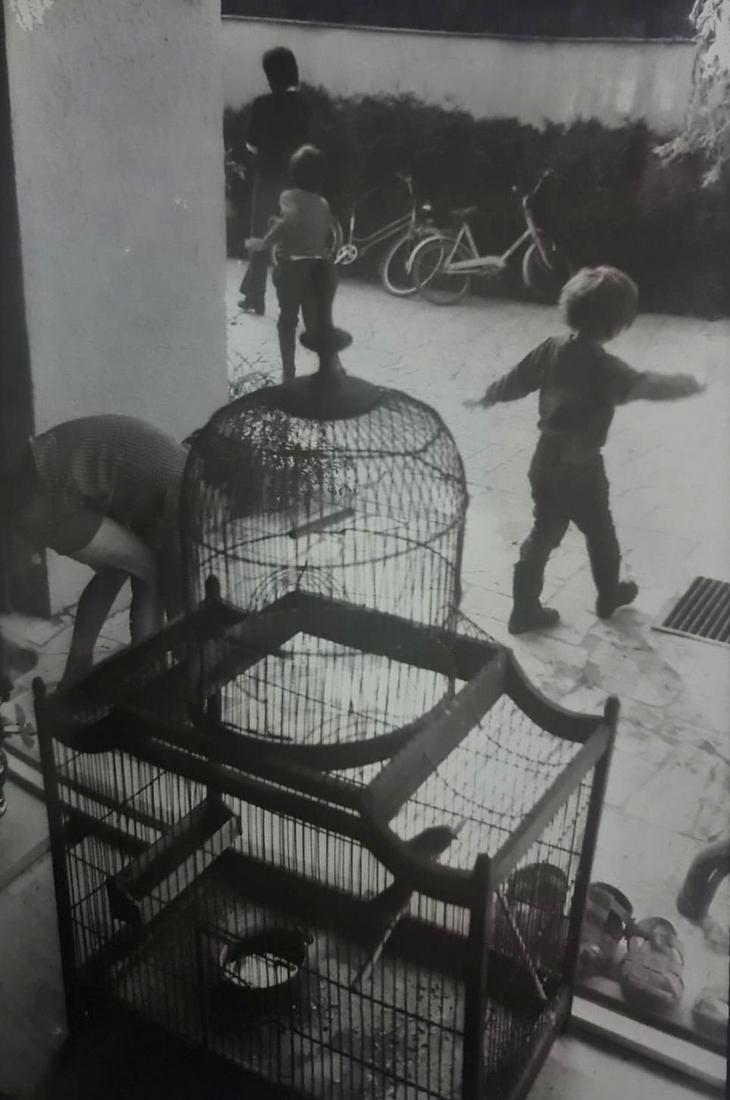 Will McBride, Untitled: Photographer: Will McBride, was an American artist known for his black-and-white photographs documenting youth culture in postwar Germany. His work remains controversial for its frank and explicit dep