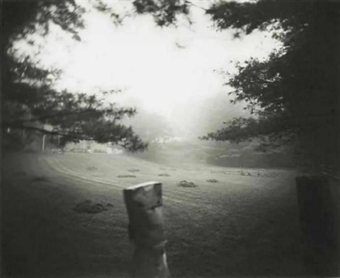 Sally Mann, Emmett at Halloween, 1988: Photographer: Sally Mann is an American photographer, widely known for her large-format, black-and-white photographs at first of her young children, then later of landscapes suggesting decay and death