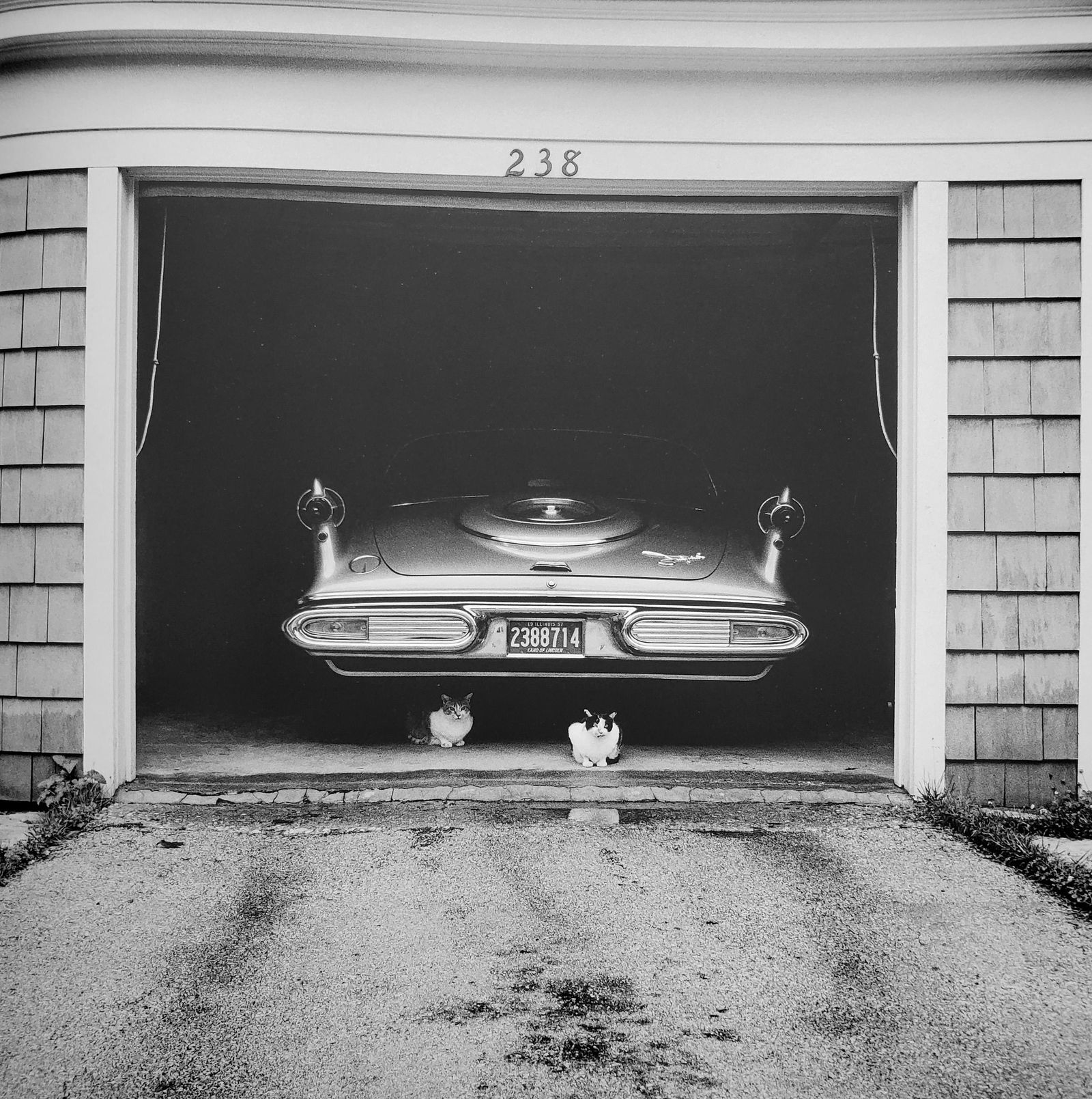 Vivian Maier, Chicago, July 1957 (1 of 1)