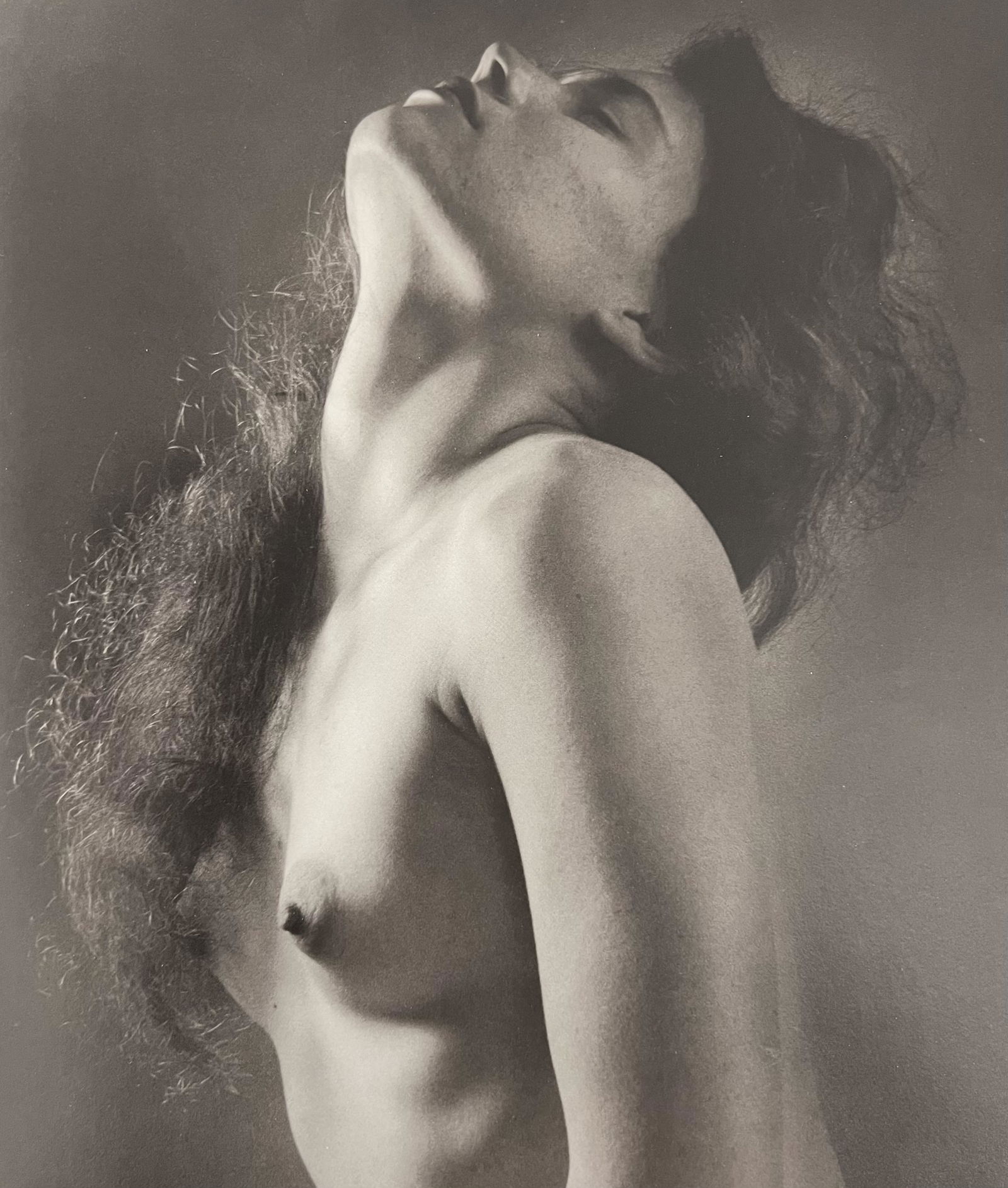 Ruth Bernhard, Neck Study, 1958, (1 of 1)
