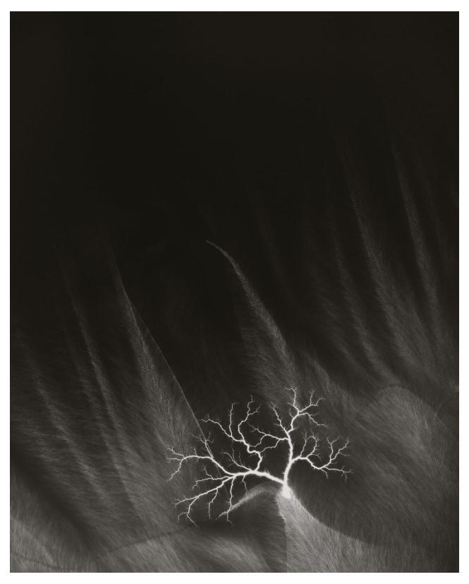 Hiroshi Sugimoto, Lightning Fields-146, 2009 Limited Edition of 360: Photographer: Hiroshi Sugimoto is a contemporary Japanese photographer whose esoteric practice explores memory and time. Using the intrinsic quality of long exposure photography, the artist provides i