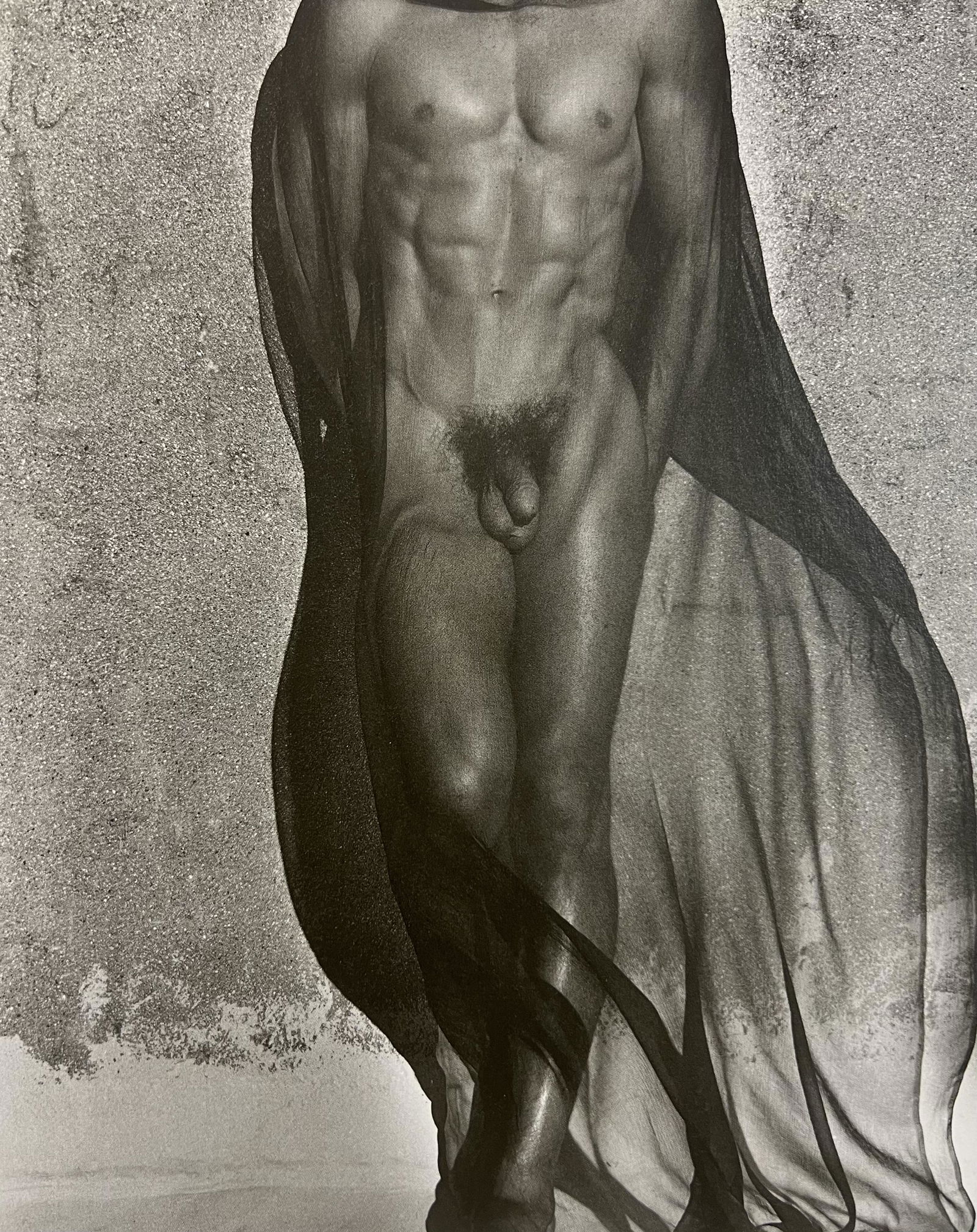 Herb Ritts, Male Nude, with Veil, Silverlake, 1985: Photographer: Herbert "Herb" Ritts (American, 1952 - 2002) - renowned fashion, art and celebrity photographer. Title: Male Nude, with Veil, Silverlake, Negative Year: 1985 Type Of Print: Fine Duotone